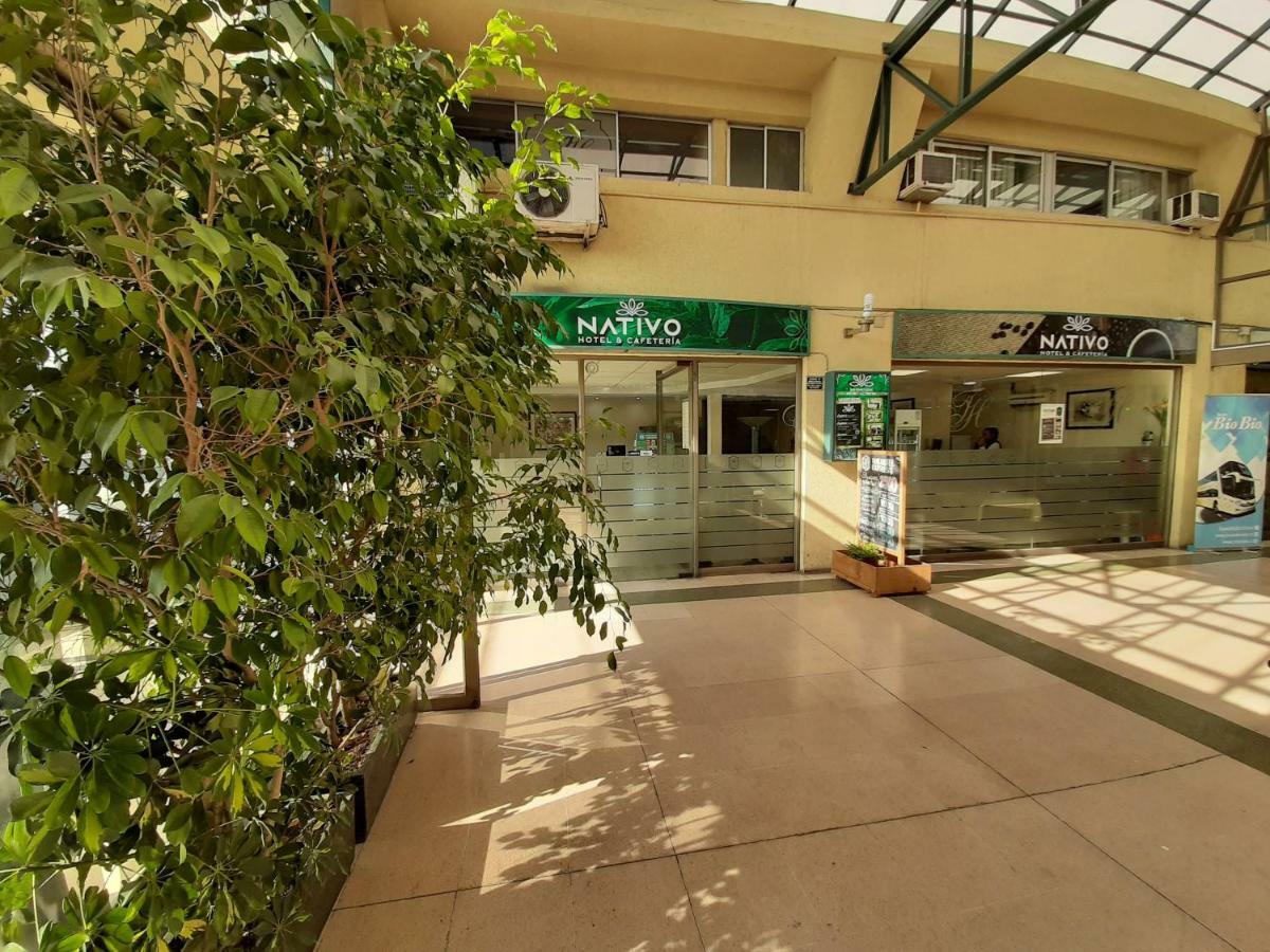 Nativo Hotel Y Cafeteria Talca  Exteriör bild